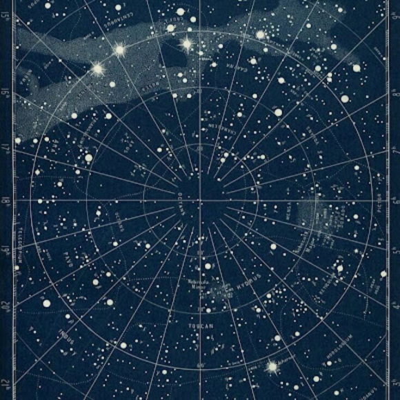 Meet your Posher, Giselle - Picture 1 of 1